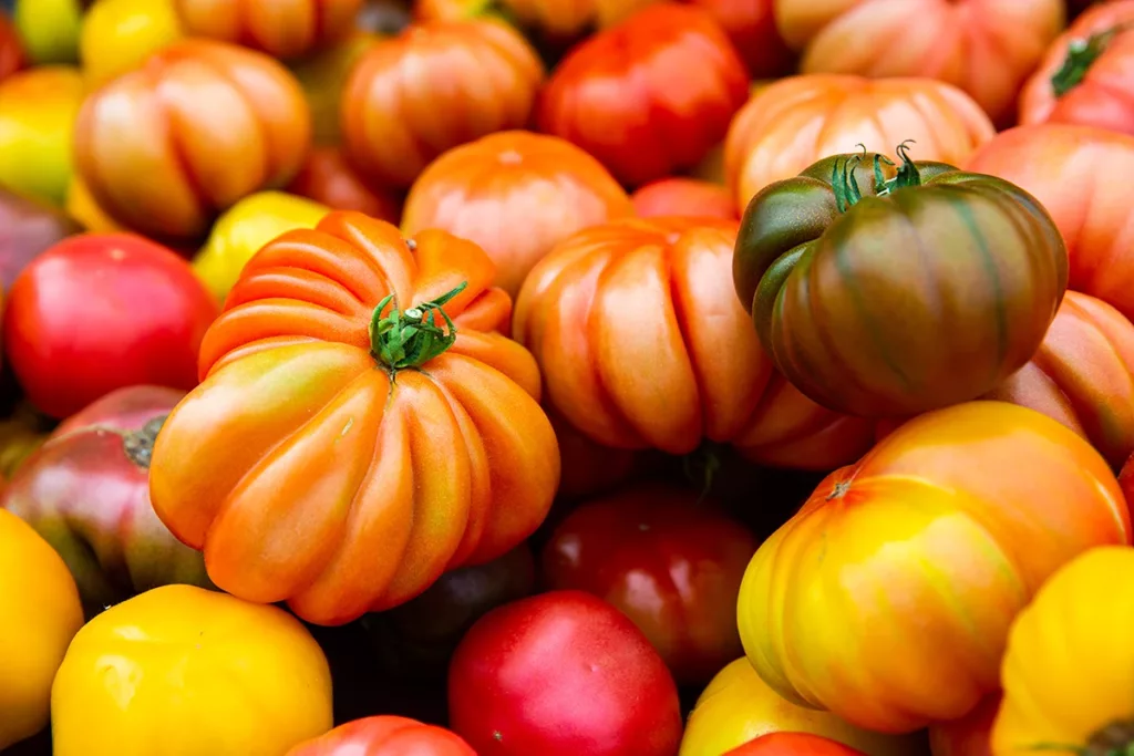 heirloom tomatoes that are in season in Napa supermarkets during the summer months