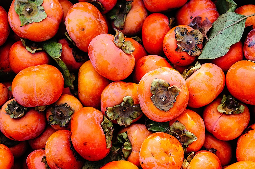 Ripe Persimmons that are in season in Napa supermarkets during the Fall season 