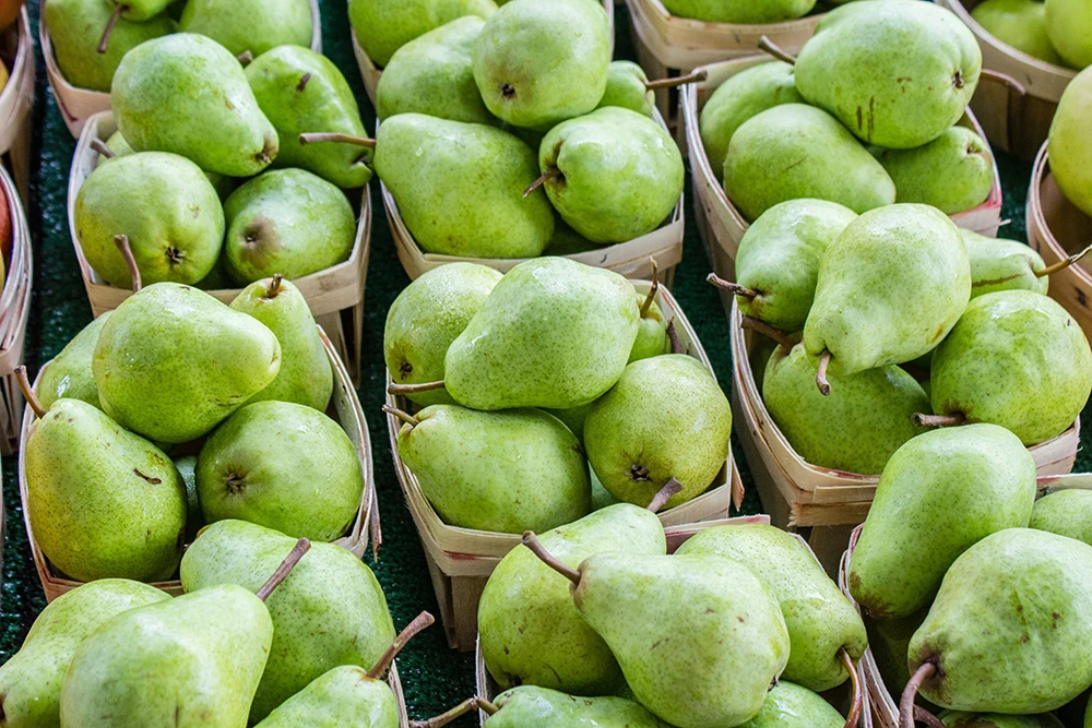 Ripe Pears that are in season in Napa supermarkets during the Fall season 