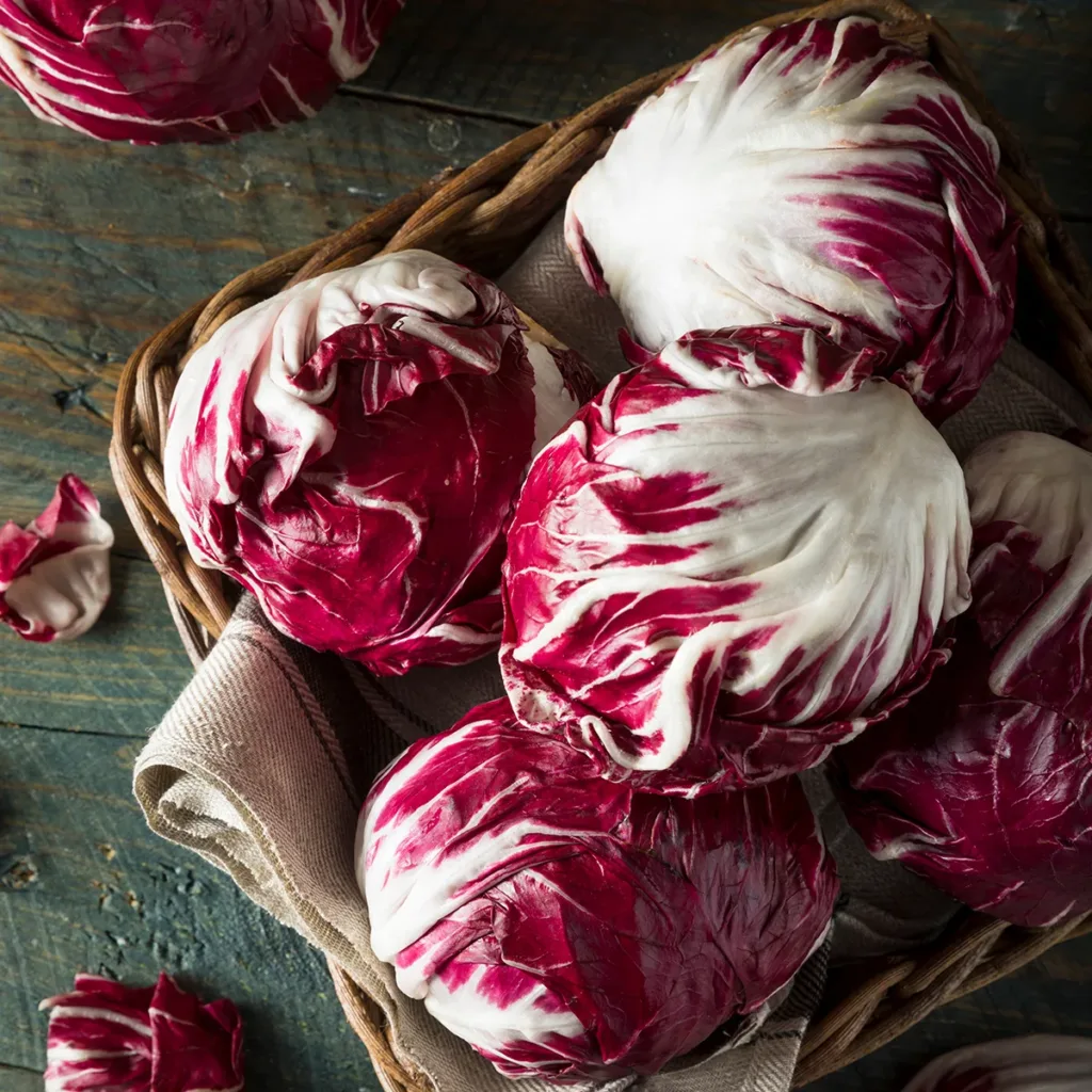 A basket of fresh radicchio, showing the concept of what's in season in Napa supermarkets this winter.