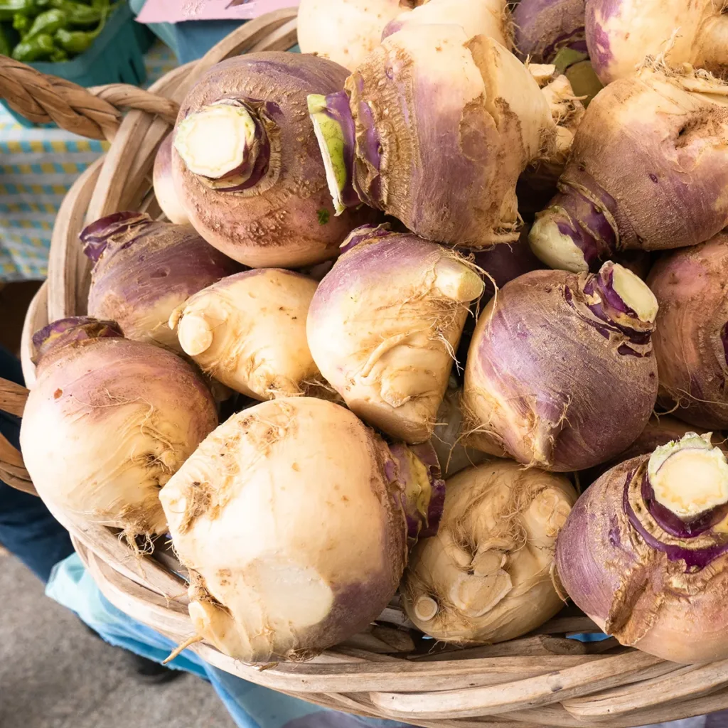 A basket of fresh rutabagas, showing the concept of what vegetables are in season in Napa supermarkets this winter