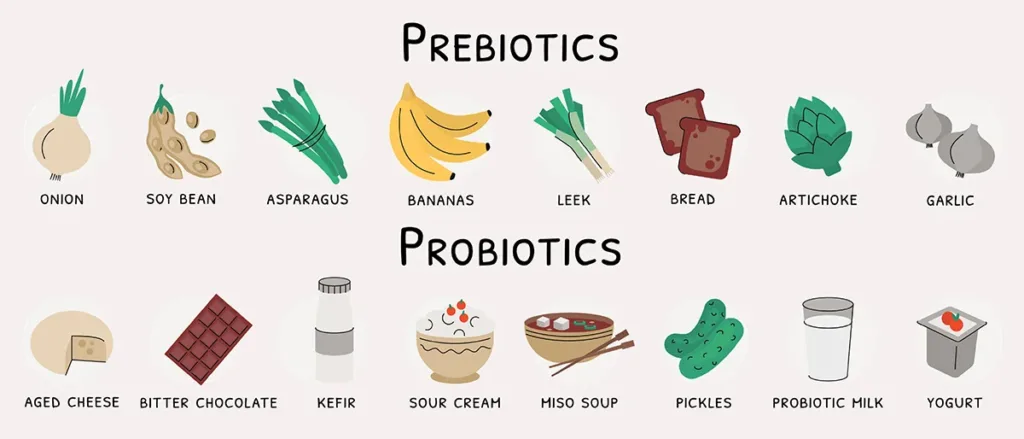 An illustration showing the difference between probiotics and prebiotics